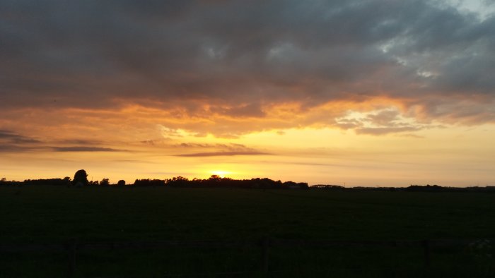 Solnedgång över ett landskap med silhuetter av träd och ett staket.