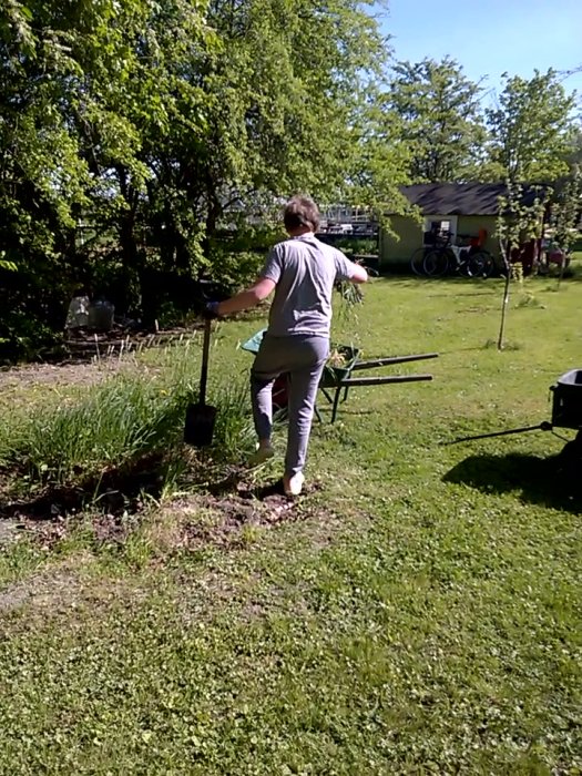 Ungdom arbetar i trädgården med att plantera, omgiven av grönska och en skottkärra i närheten.