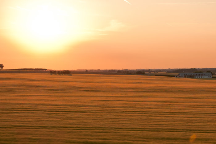 Solnedgång över det skånska landskapet med öppna fält och en gård i förgrunden.