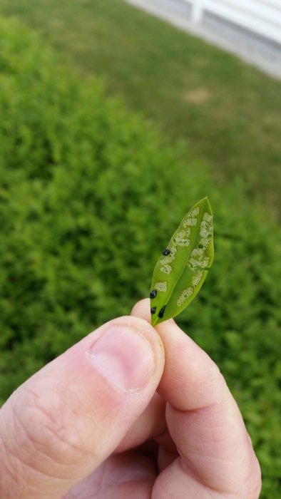 20180521_200038.jpg