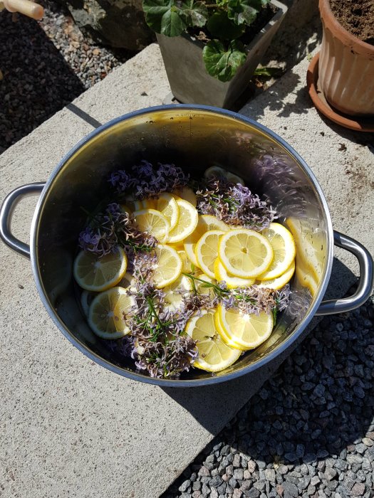 Stående kastrull med skivad citron och syrenblommor, förberedelse för att göra syrénsaft.