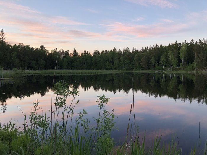 Kvällsskymning vid en stilla sjö med spegelblank yta omgiven av skog och strålande pastellfärgade himmel.
