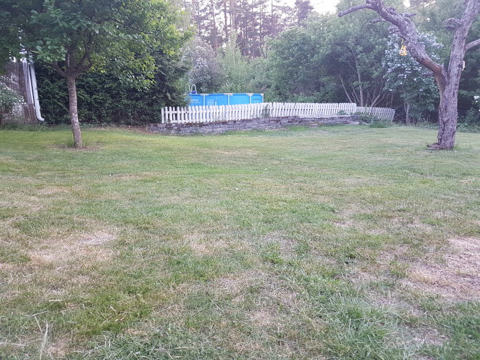 Trädgård på 300m2 med gräsmatta som eventuellt ska klippas av robotgräsklippare.