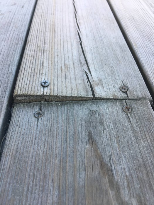 Uppstickande bräda på ett grått trädäck med synliga skruvar och lätt sprickbildning.