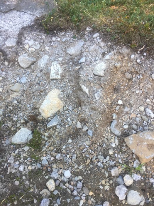 Grov sandjord med blandade stenar och småsten, med spår av vegetation som kan vara rester av barrskog.