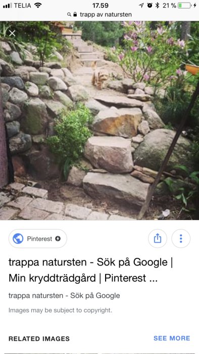 Trädgårdstrappa av natursten upp bland gröna växter och blommor, med en synlig grop vid sidan.