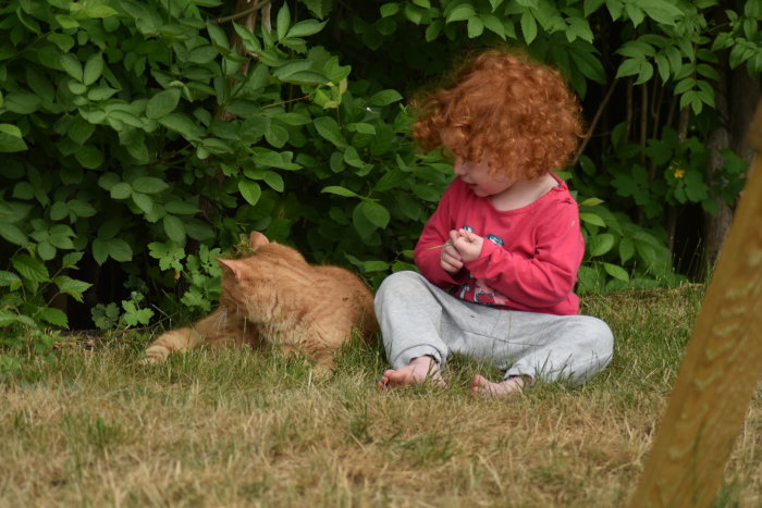 Barn med lockigt hår sitter på gräs och leker med en röd katt vid en grönskande häck.