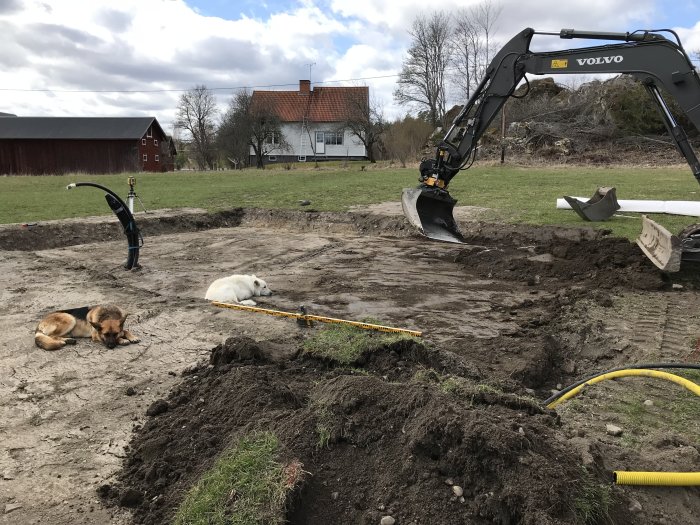 Grävmaskin och förberedd mark för garaget, hundar vilar vid byggarbetsplatsen.