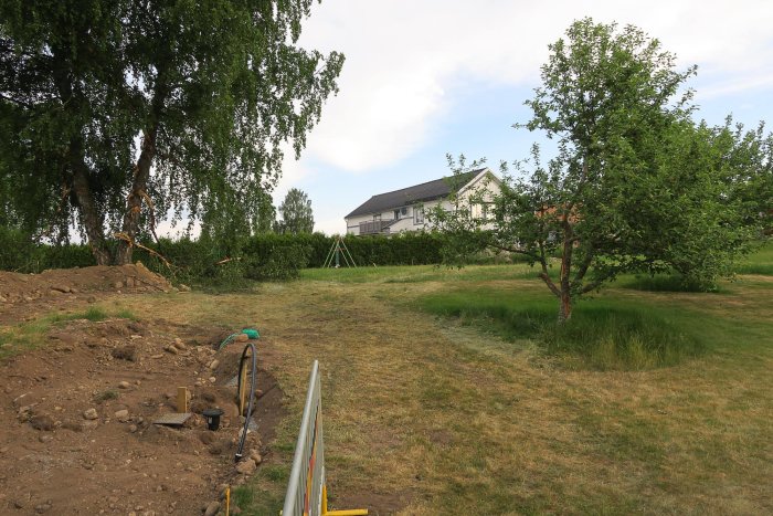 Trädgård med uppriven mark nära skadat hängbjörksträd och intakt äppelträd framför hus.