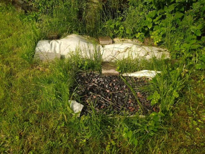 Trädgård med mackadamsten omgiven av gräs och väv, enlagersväven delvis täckt av vegetation.