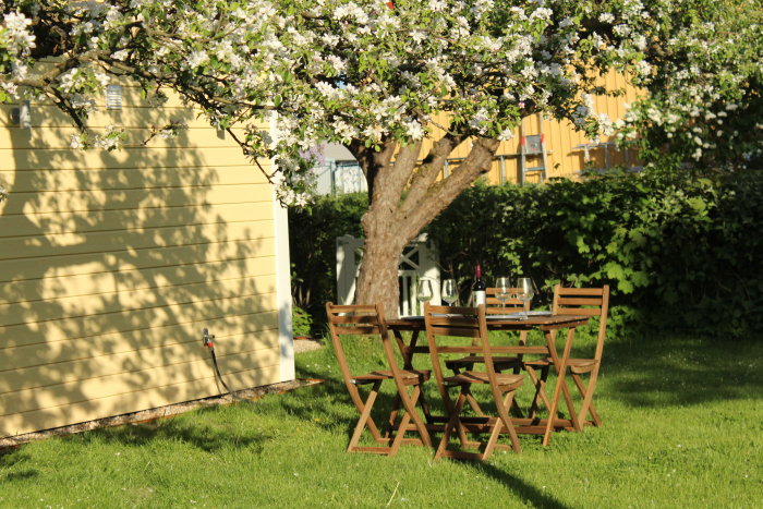 Trädgård med blommande träd, trä utemöbler och gult hus i bakgrunden.