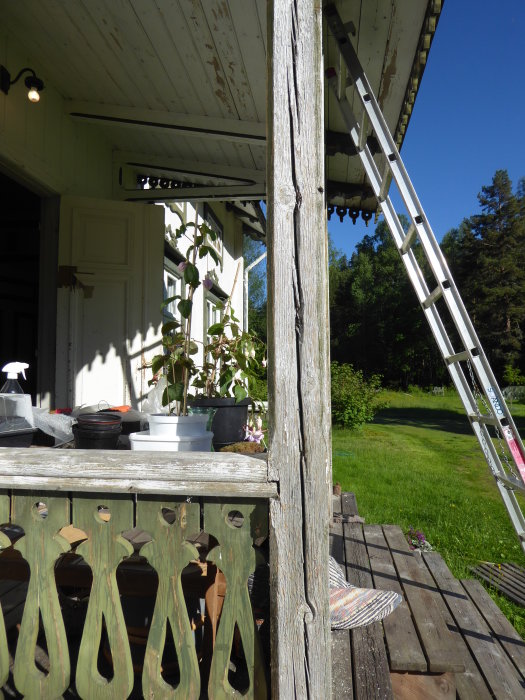 Veranda med trästolpe som har torksprickor, tidigare fyllda med gulaktig massa, och stege i bakgrunden.