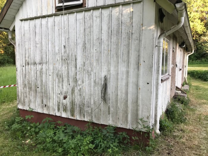 Ett gammalt, o underhållet uthus med matt faluröd färg och vitmålade plankor, synlig skada och växtlighet runt grunden.