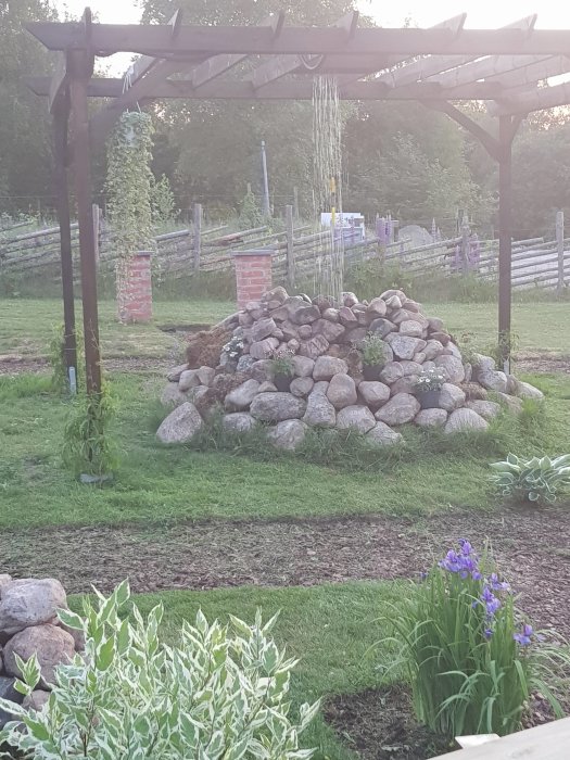 En trädgård med växande växter, stenmur och träpergola i skymningen, indikerar ett pågående trädgårdsprojekt.