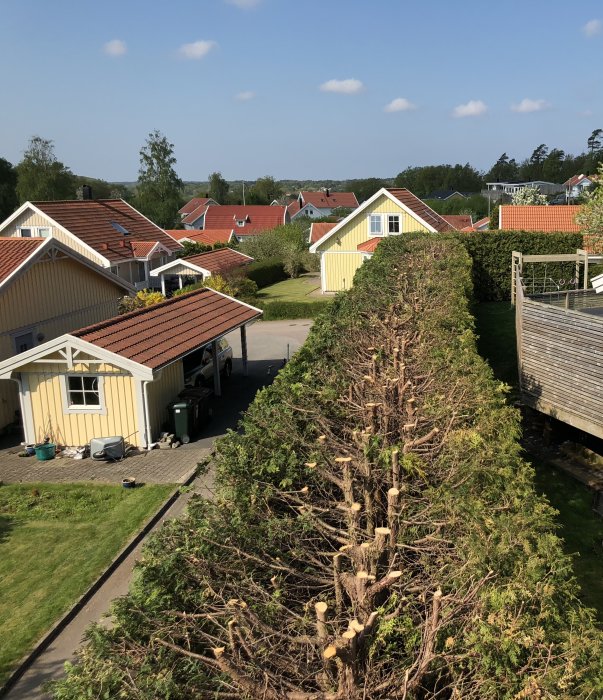 Nyklippt häck längs en gata med guldfärgade hus, synlig från en höjd 5 meter ovanför vägen.