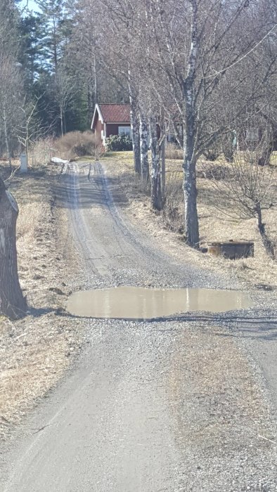 Grusväg med vattensamling och skadade dräneringsrör vid sidan, omgiven av lövträd och en röd stuga i bakgrunden.