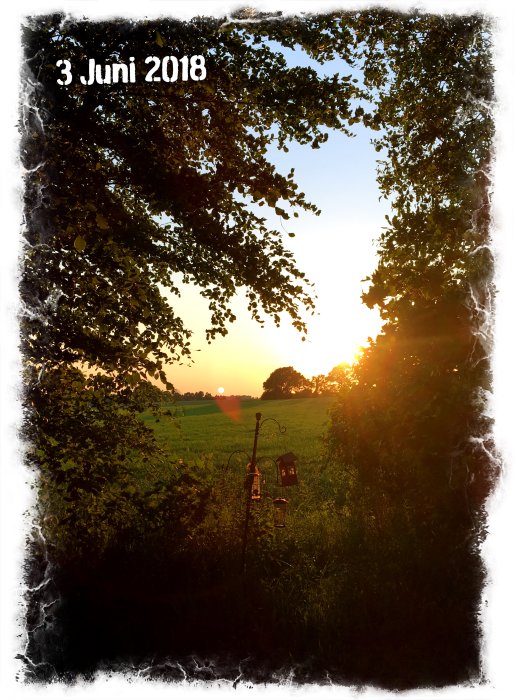 Solnedgång över fält med träd och fågelmatningsstation, datumstämpel "3 Juni 2018".