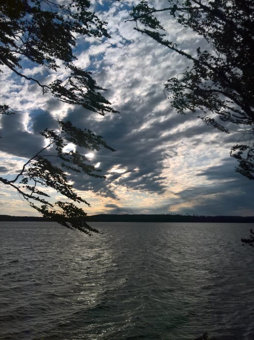 Måndagsmorgon med solen som skiner genom moln över en blåsig sjö omgiven av trädgrenar.