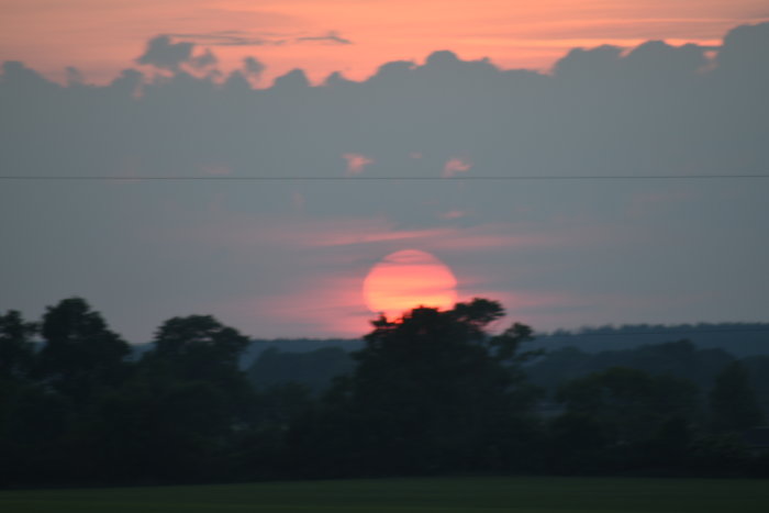 Solnedgång med stort, rött sol i horisonten bakom siluett av träd.
