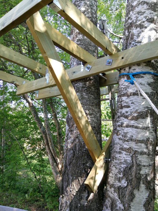 Trädkoja i konstruktion med balkar monterade runt ett träd med stöd av metallbultar och vinkeljärn i en skogsmiljö.