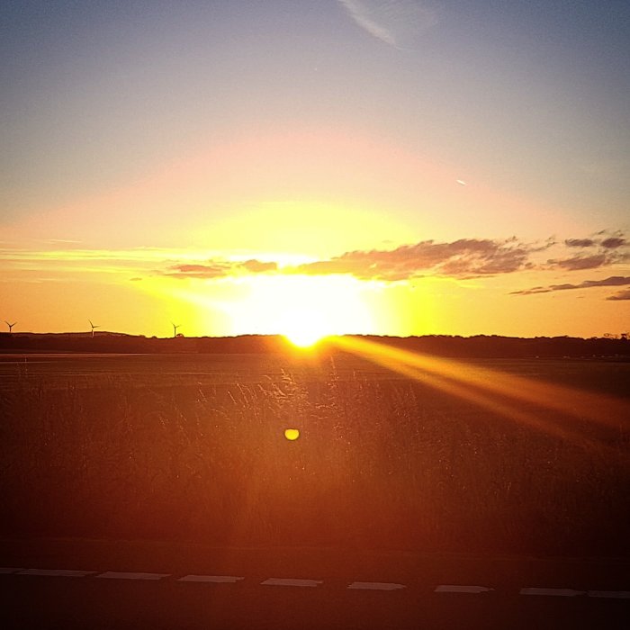 Soluppgång över ett fält med väderkvarnar i horisonten, sett från vägkanten.