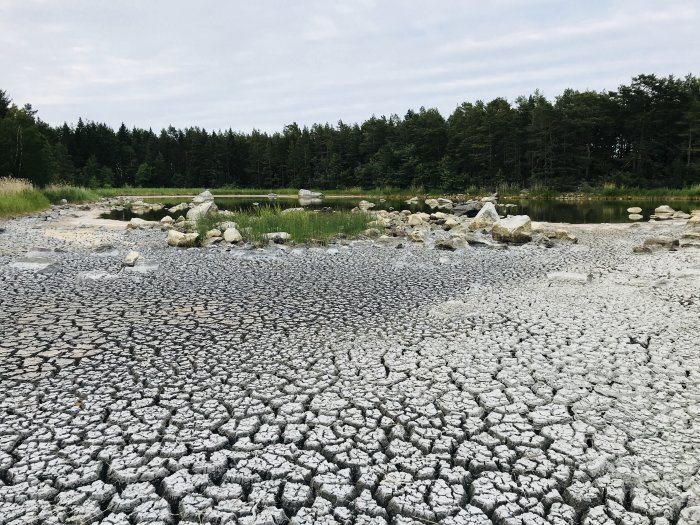 Utsträckt torkade sprucken jord där en damm har torkat med låg vattennivå och synliga stenar.