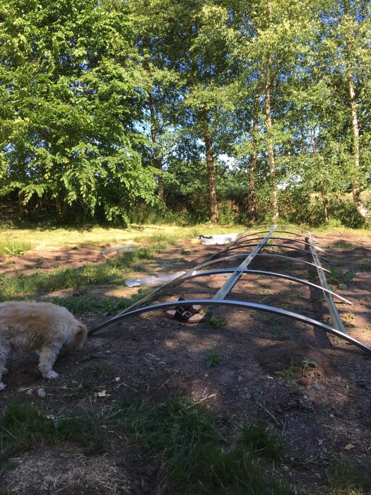 Olika metallkomponenter utspridda på marken för ett byggprojekt med en hund och skogsbakgrund.