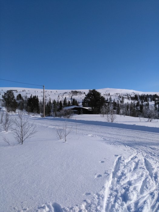 Vinterlandskap med snötäckta fält, fotspår och en fjällvy i bakgrunden under klarblå himmel.