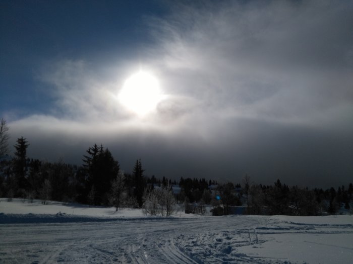 Vintersol lyser över ett snöigt landskap och träd med dimma på himlen.