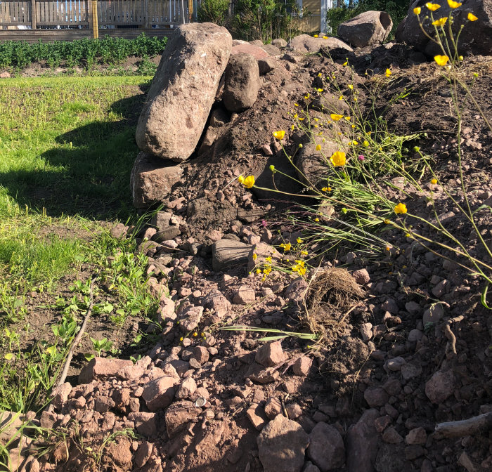 Ostabil kallmurad stödmur med stora stenar ovanpå en gruskulle och gula blommor i förgrunden.