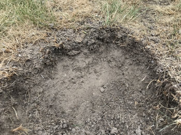 Närbild på en 50cm djup jordgrop med stenar och gulnat gräs runt kanten som indikerar dåligt jordskick.