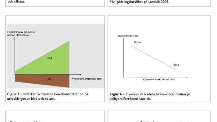 Diagram som visar biomassans fördelning mellan blad och rot samt kvävekoncentrationens inverkan på kolhydratförråd.