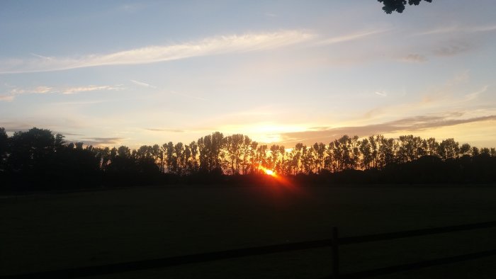 Solnedgång bakom träd vid en staketomgärdad äng, himmel med strimmor av moln.