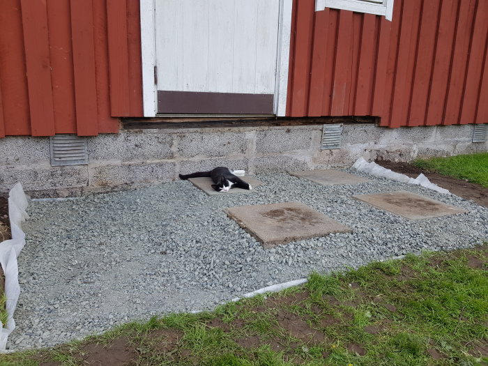 Nybyggd trappsteg av sten till uthus med grus och stenplattor framför, katt på en platta.