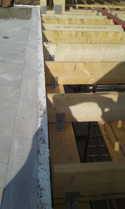 20180610_085228.jpg