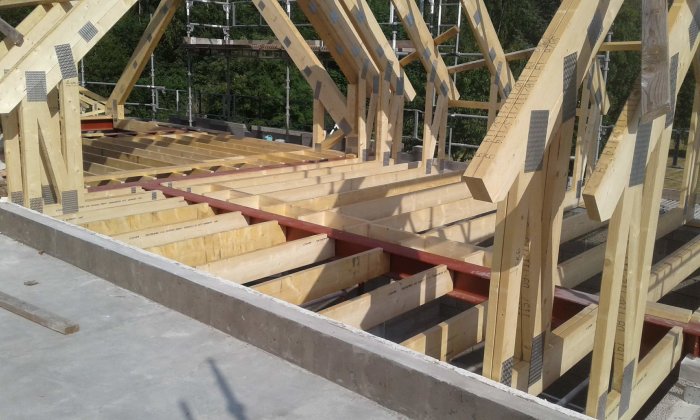 20180610_085151.jpg