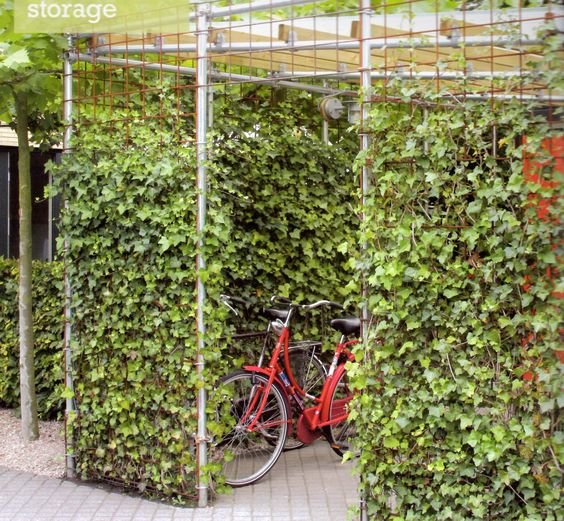 Pergola klädd med gröna klätterväxter med en röd cykel parkerad under.