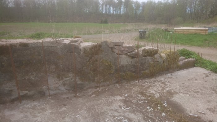hus 111.JPG