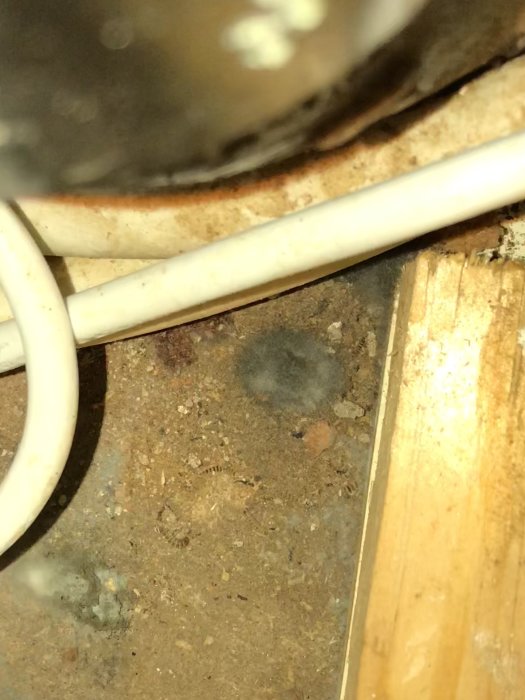 Fukt och mögel på och runt diskmaskinkoppling under bänkskåp.