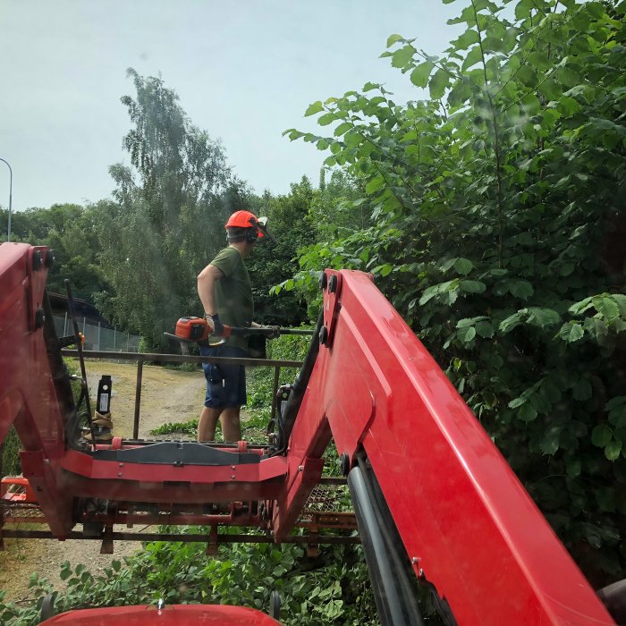 Person beskär en hög häck med en batteridriven häcksax från en arbetsplattform på en traktor.