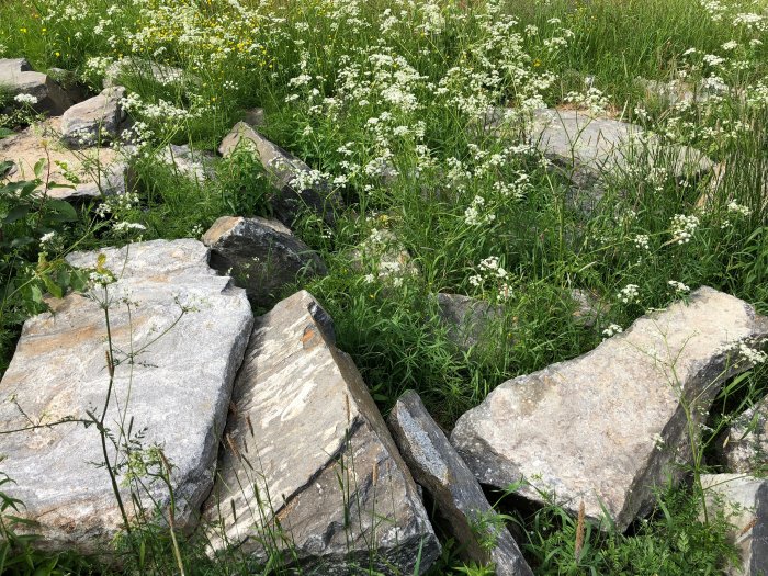 Granitkantstenar och block i olika storlekar i en blomsteräng.