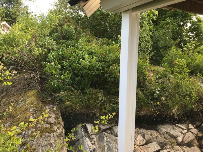 Vy över en trädgård med tätt växtlighet och buskar bredvid ett hus, samt en synlig vit bärande stolpe.