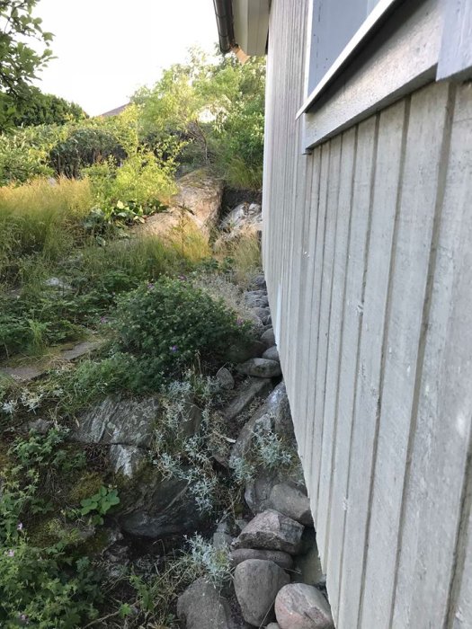 Husgavel med jord och växtlighet intill berggrund, skadad ränna och stenar synliga.