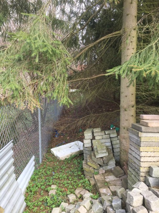 Slänt med stenar, staket, och fällda gröna växter i en trädgård som potentiell plats för en stödmur.