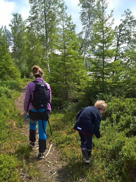 Två personer vandrar på en skogsstig i det soliga dalalandskapet under midsommar.