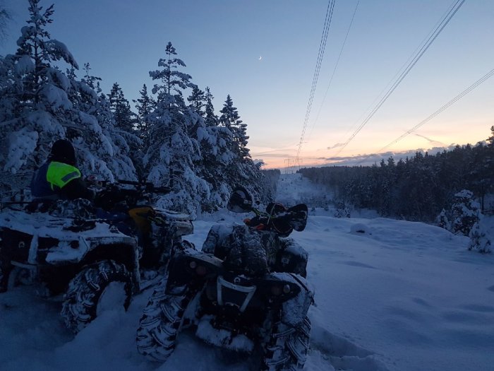 Snöskotrar parkerade i ett snöigt landskap vid skymningen med träd och en svag månskära i himlen.