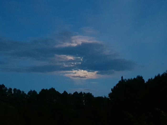 Månljus som silas genom moln på mörk himmel över trädtoppar.
