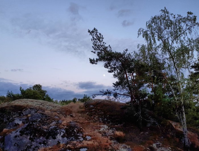 Skymning med måne över träd och klippor klockan 22:30.