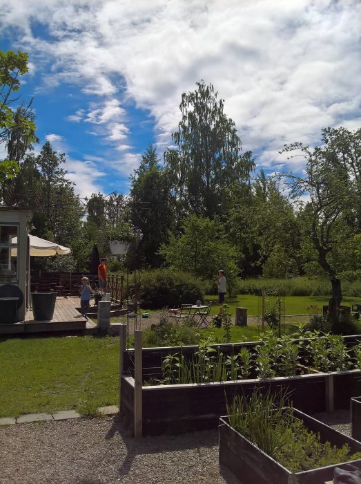 Trädgård med odlingslådor och barn som hjälper till med trädgårdssysslorna i soligt väder.