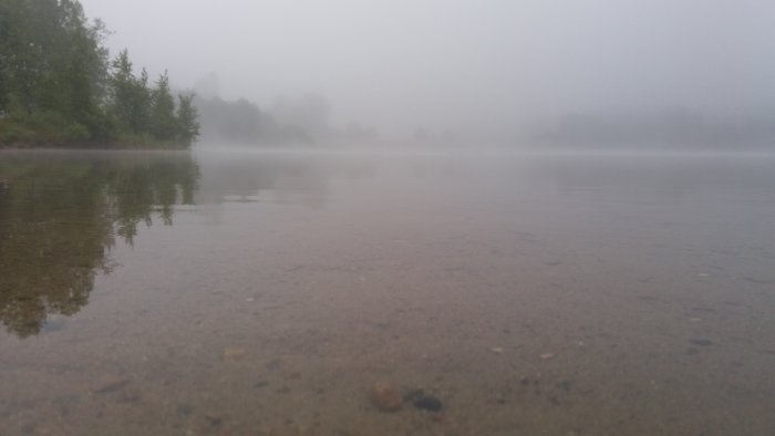 Dimmig morgon vid en sjö med träd som speglas i det lugna vattnet.